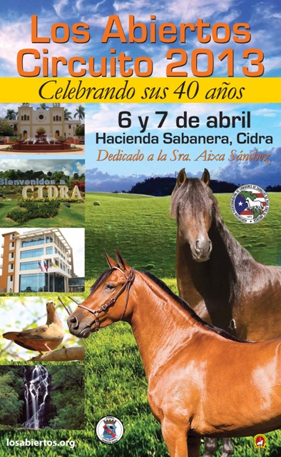 Banner Circuito 2013 copy-pdf